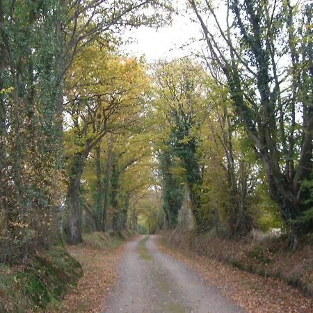 בית נופש Avec Grand Jardin, Cheminee, Velos Et Wifi A - Fr-1-410-242 Berfay