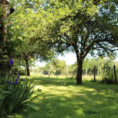 Feriehus Avec Grand Jardin, Cheminee, Velos Et Wifi A - Fr-1-410-242 *