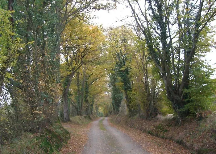 Сasa de vacaciones Avec Grand Jardin, Cheminée, Vélos Et Wifi à - Fr-1-410-242 Berfay